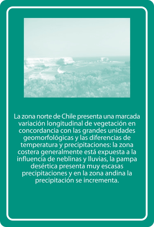 Portada Reverso
